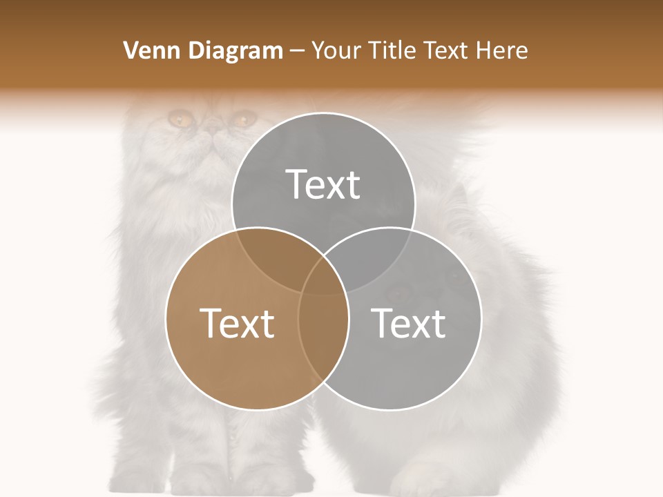 Cut Out Horizontal Fur PowerPoint Template