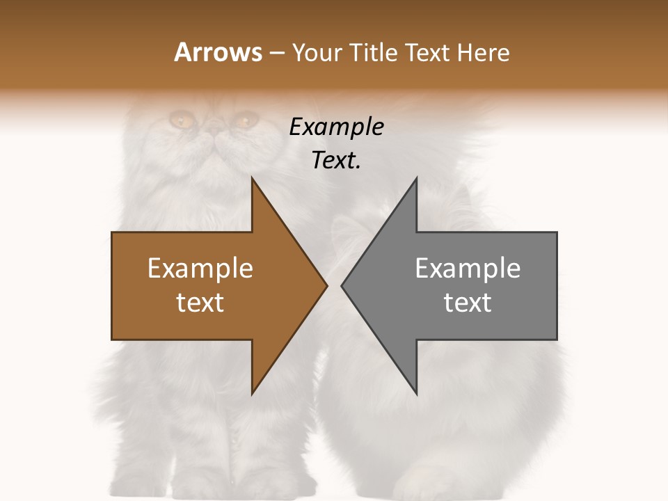 Cut Out Horizontal Fur PowerPoint Template