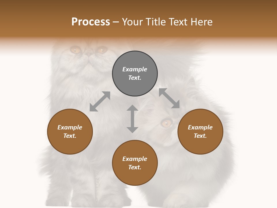 Cut Out Horizontal Fur PowerPoint Template