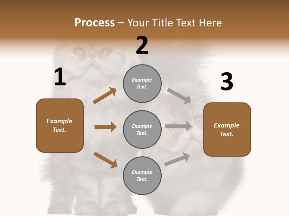 Cut Out Horizontal Fur PowerPoint Template