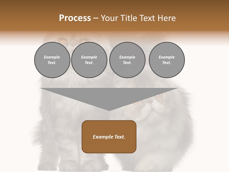 Cut Out Horizontal Fur PowerPoint Template