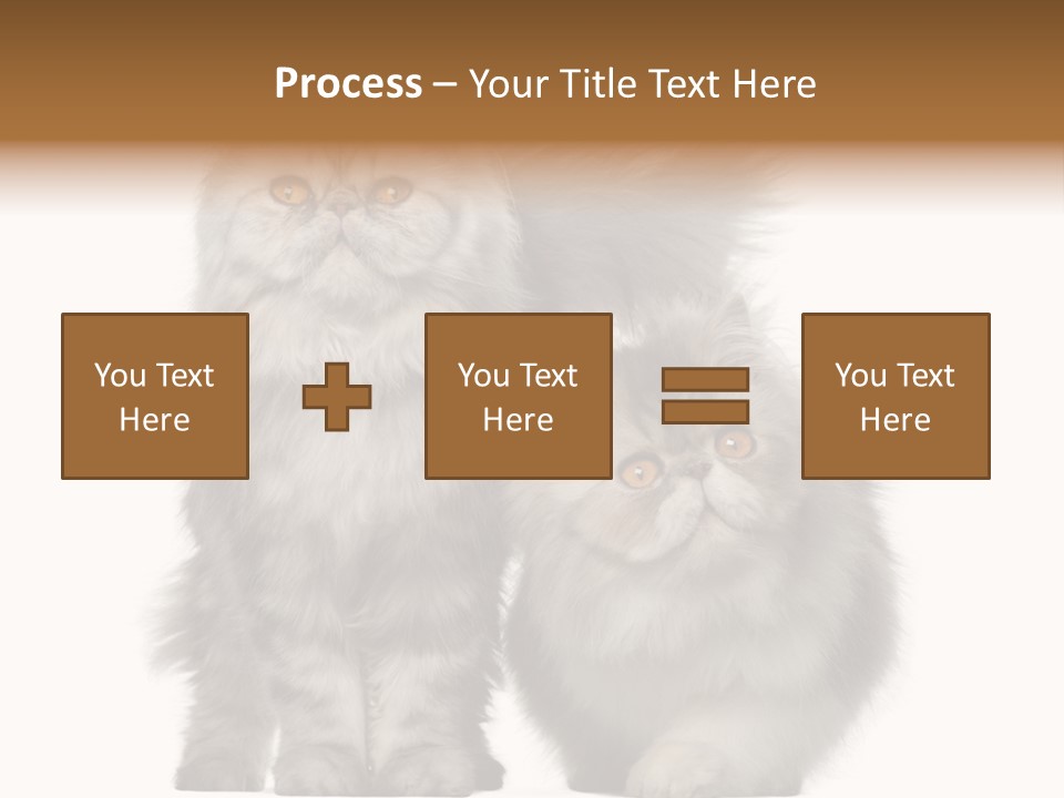 Cut Out Horizontal Fur PowerPoint Template