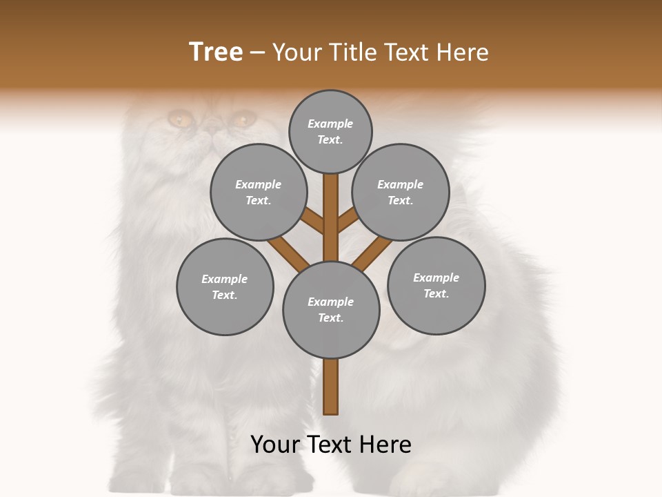 Cut Out Horizontal Fur PowerPoint Template