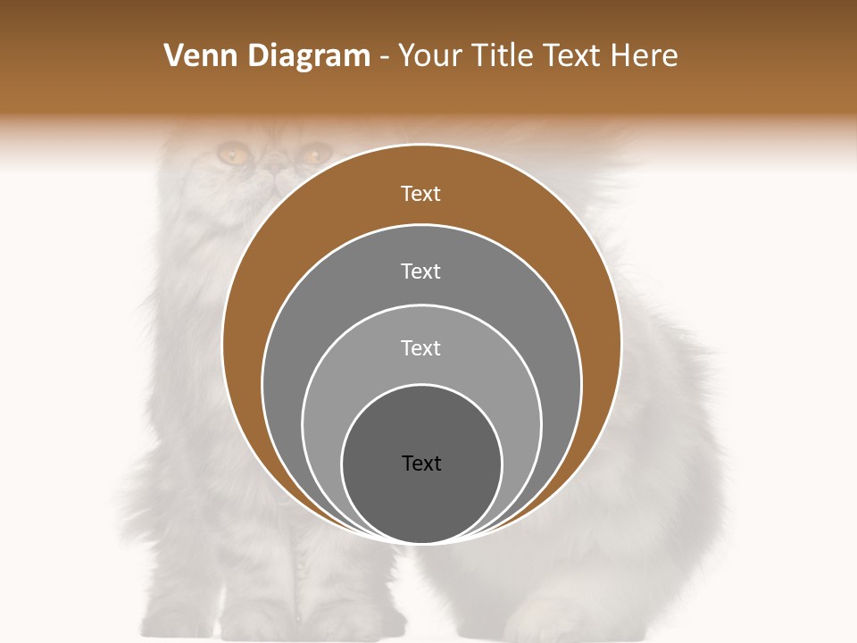 Cut Out Horizontal Fur PowerPoint Template