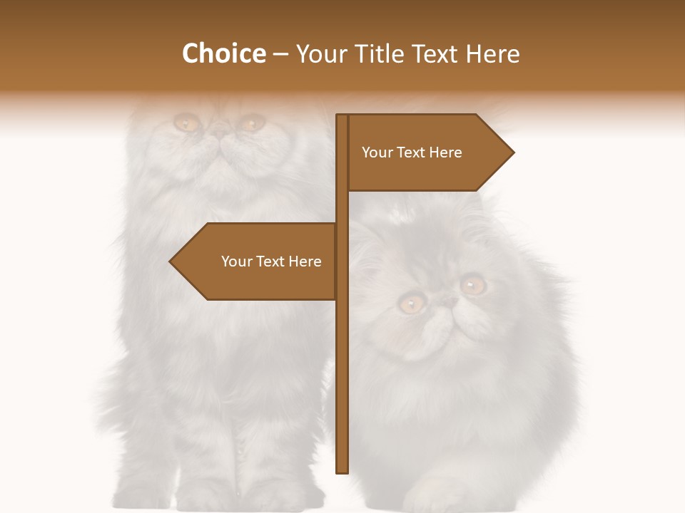 Cut Out Horizontal Fur PowerPoint Template