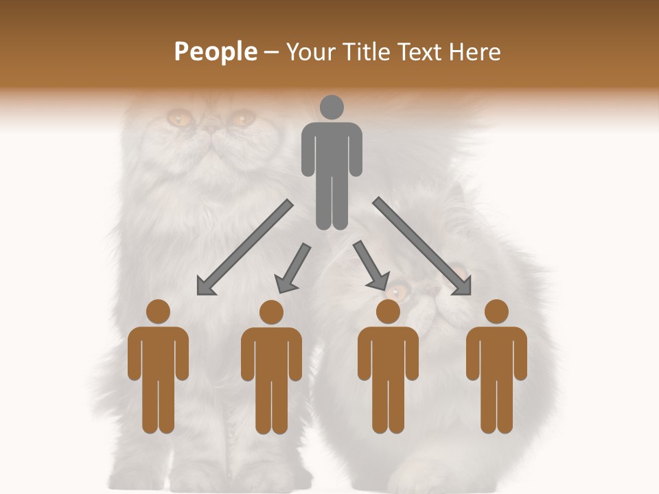 Cut Out Horizontal Fur PowerPoint Template
