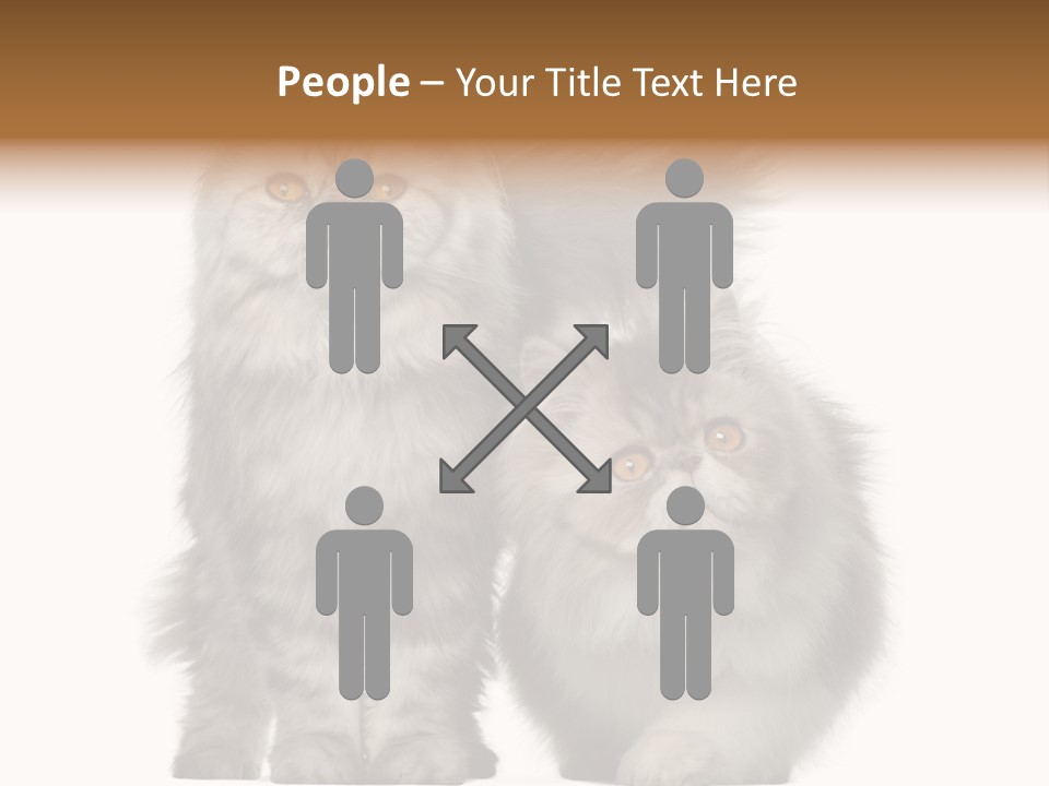 Cut Out Horizontal Fur PowerPoint Template