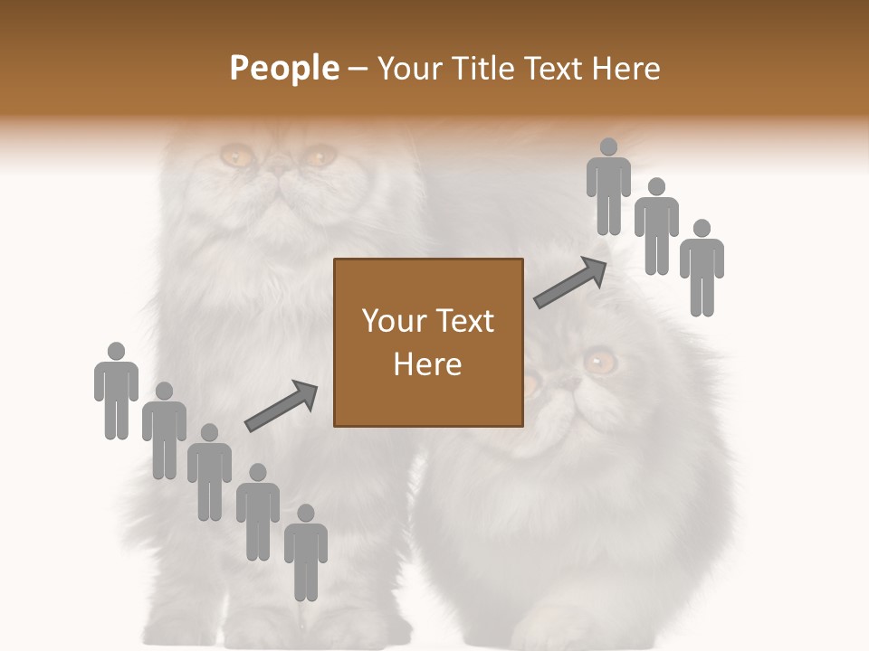 Cut Out Horizontal Fur PowerPoint Template