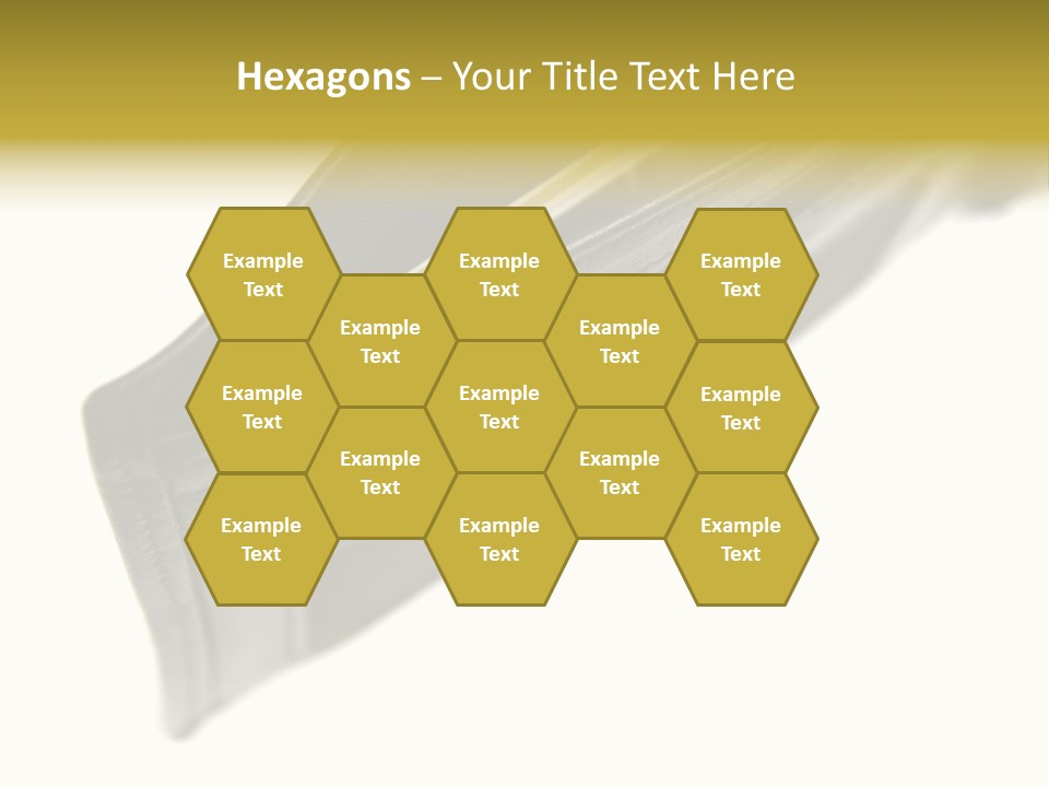 Money Cash Pouch PowerPoint Template