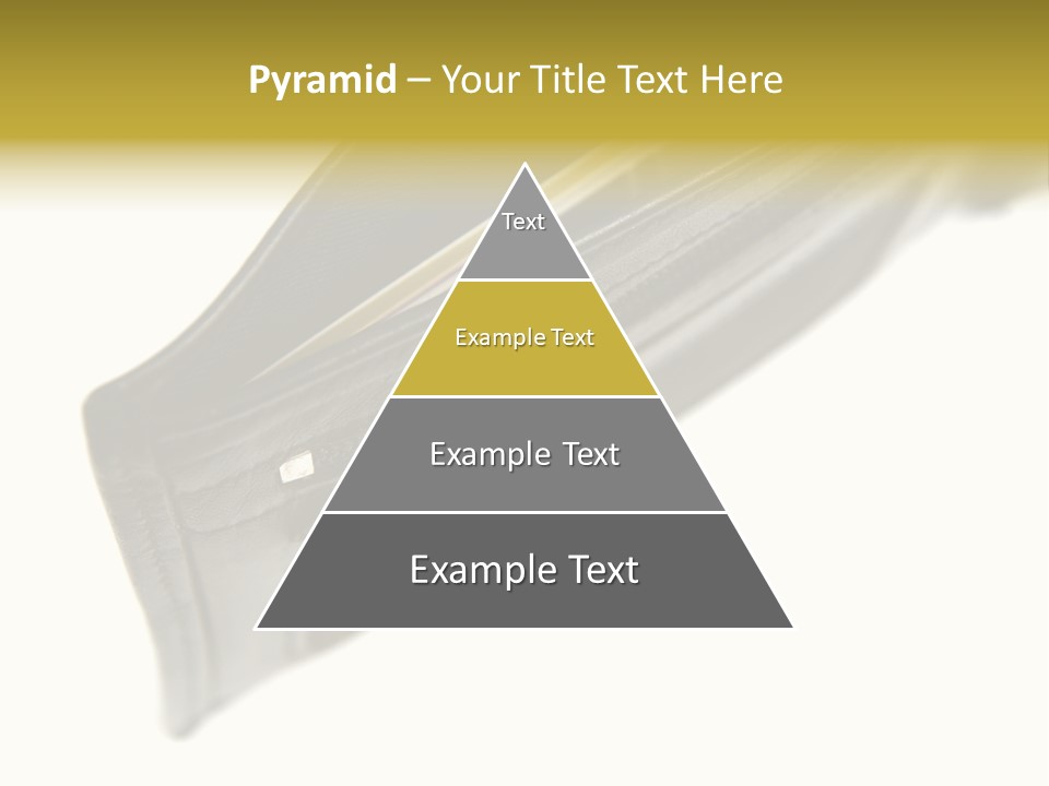 Money Cash Pouch PowerPoint Template