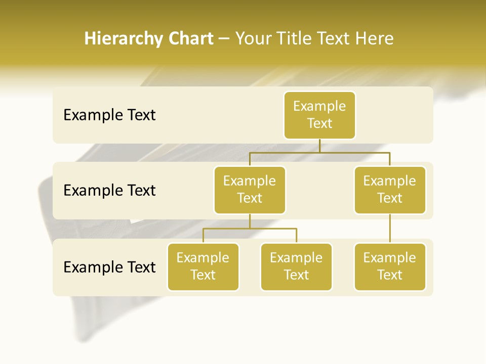 Money Cash Pouch PowerPoint Template