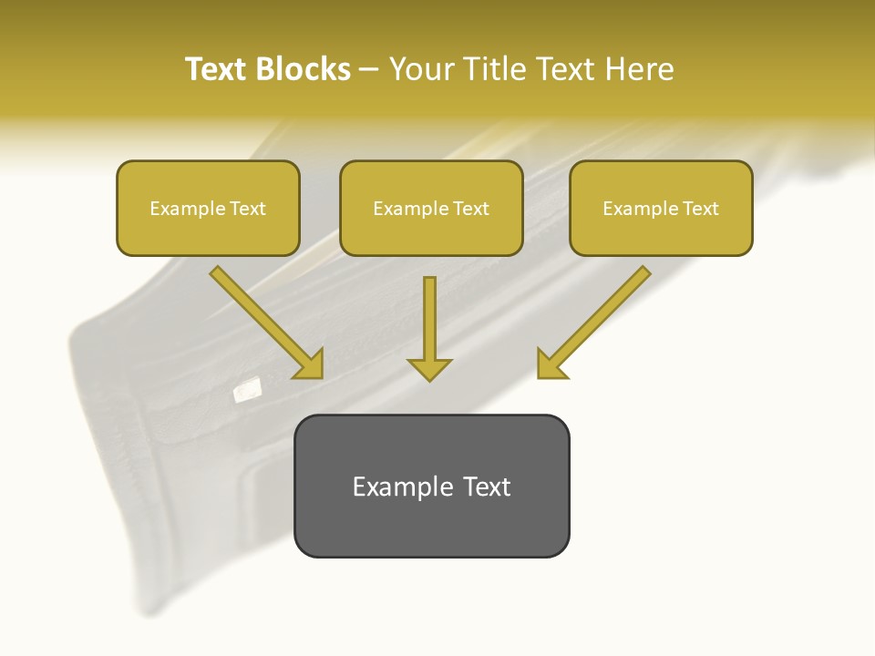 Money Cash Pouch PowerPoint Template