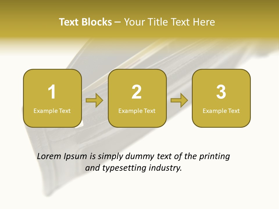 Money Cash Pouch PowerPoint Template