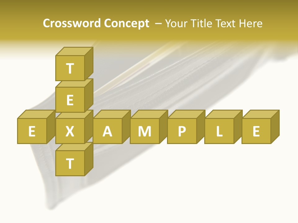 Money Cash Pouch PowerPoint Template