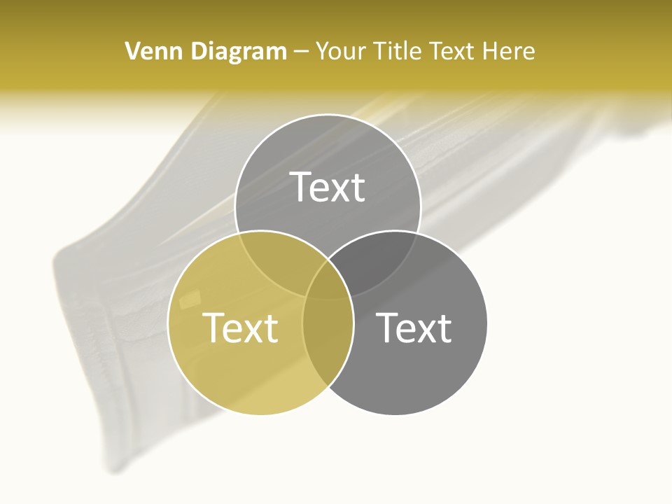 Money Cash Pouch PowerPoint Template