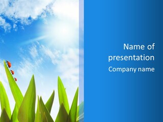 Ladybird Ray Sun PowerPoint Template