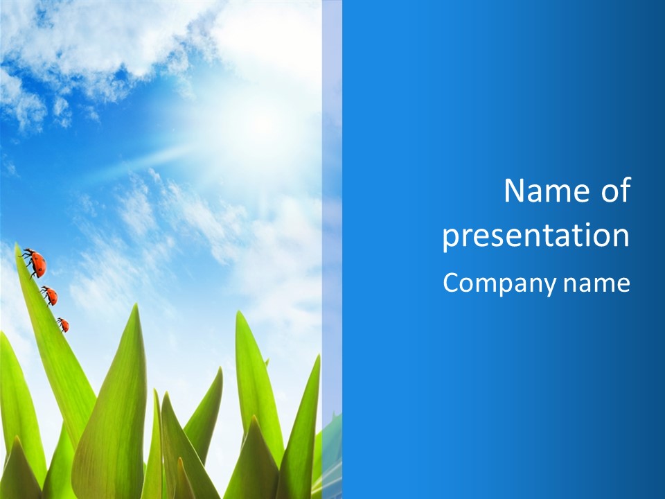 Ladybird Ray Sun PowerPoint Template