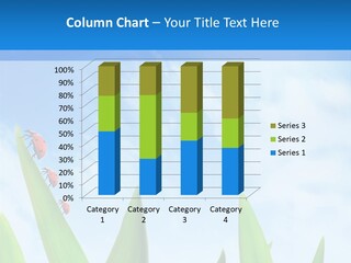 Ladybird Ray Sun PowerPoint Template