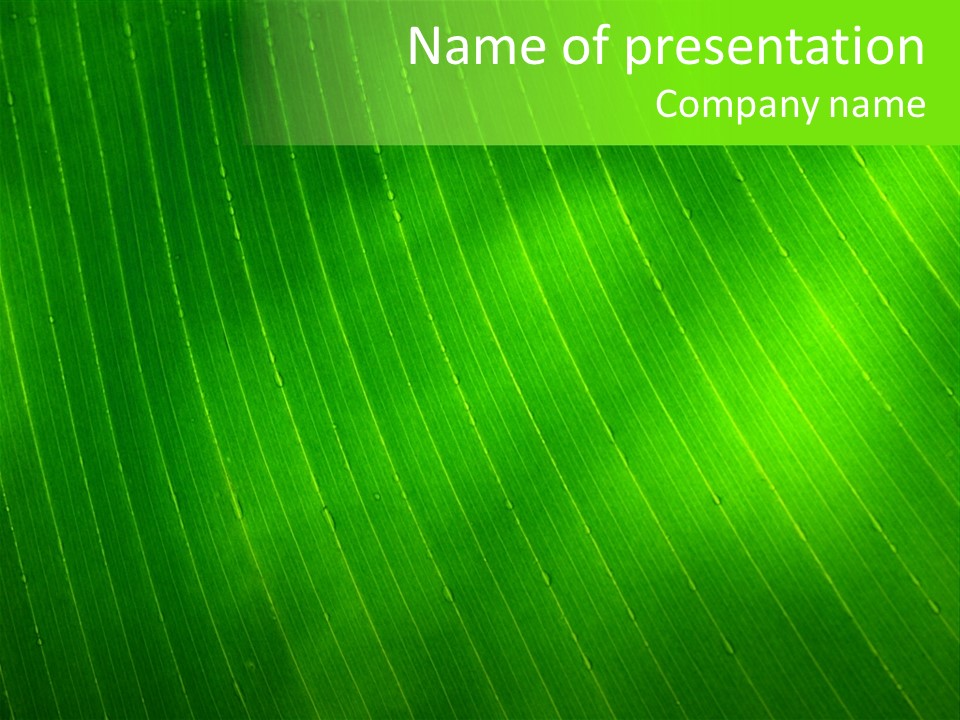Tropical Fond Bananier PowerPoint Template