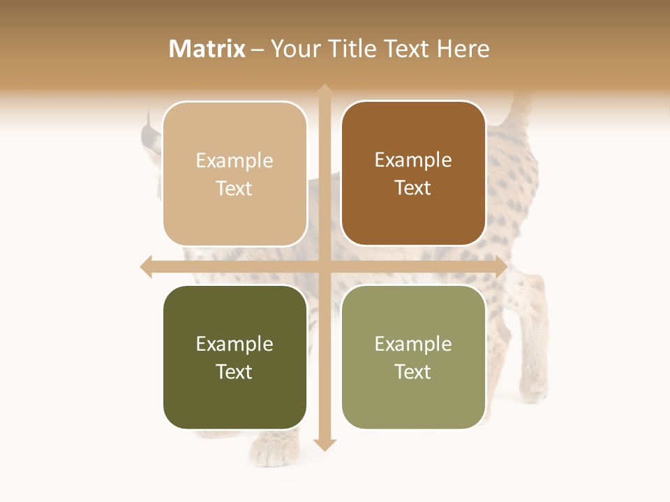 Cat Bobcat Male PowerPoint Template