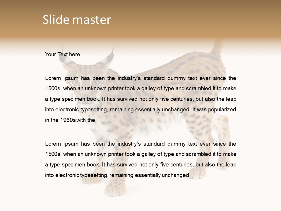 Cat Bobcat Male PowerPoint Template