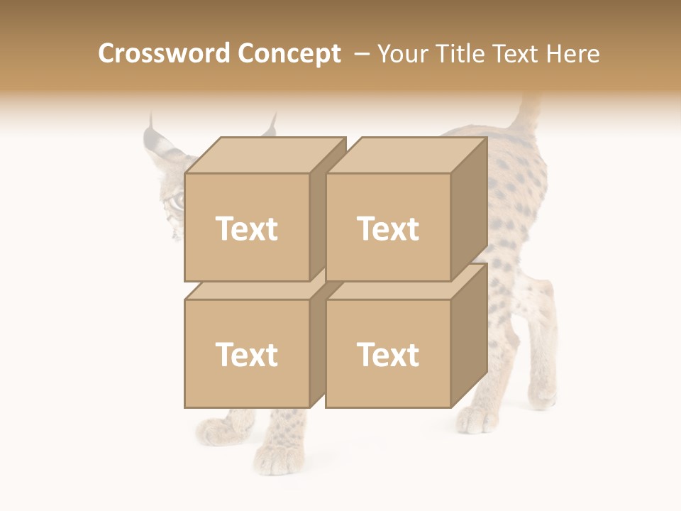 Cat Bobcat Male PowerPoint Template