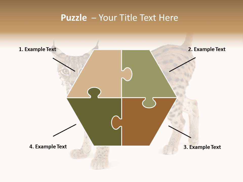 Cat Bobcat Male PowerPoint Template