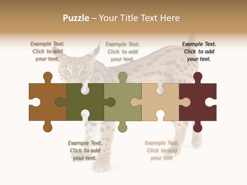 Cat Bobcat Male PowerPoint Template