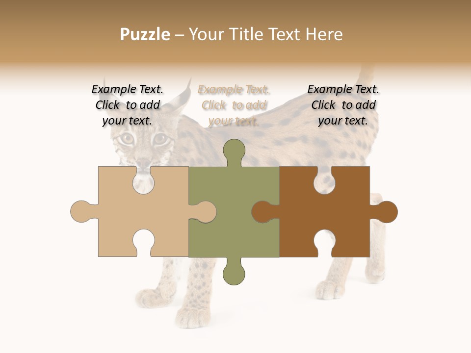 Cat Bobcat Male PowerPoint Template