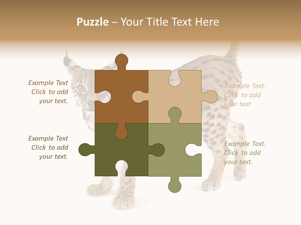 Cat Bobcat Male PowerPoint Template