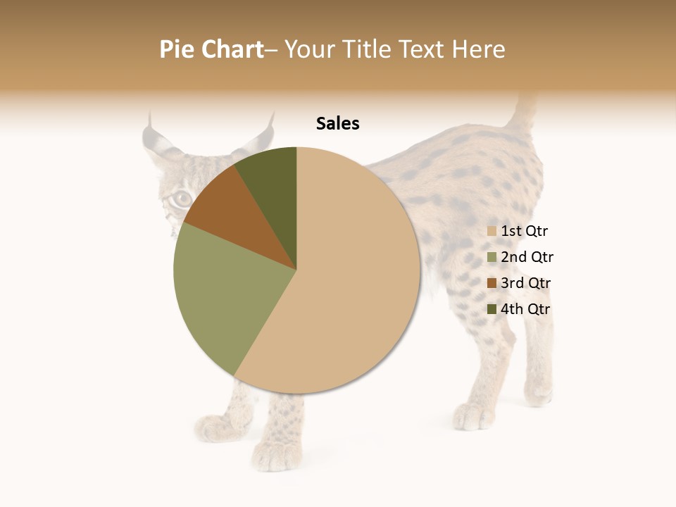 Cat Bobcat Male PowerPoint Template