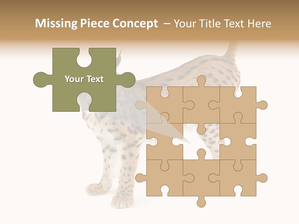 Cat Bobcat Male PowerPoint Template