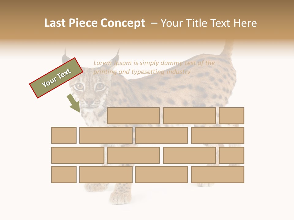 Cat Bobcat Male PowerPoint Template