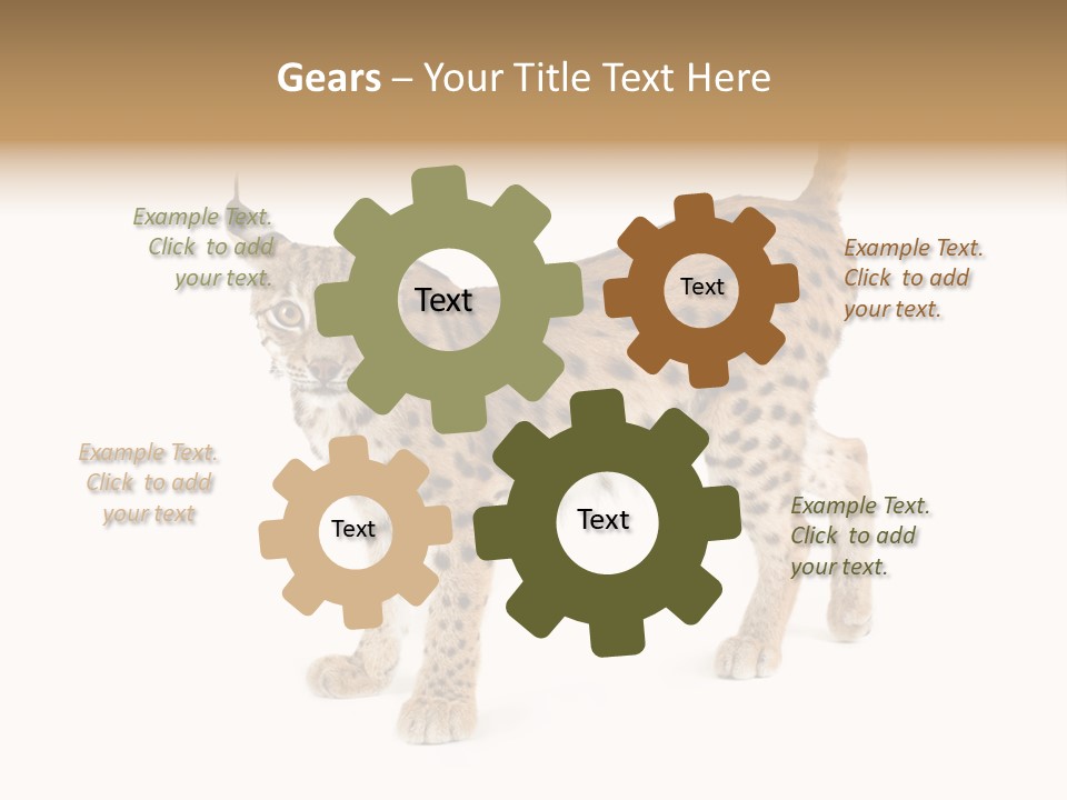 Cat Bobcat Male PowerPoint Template