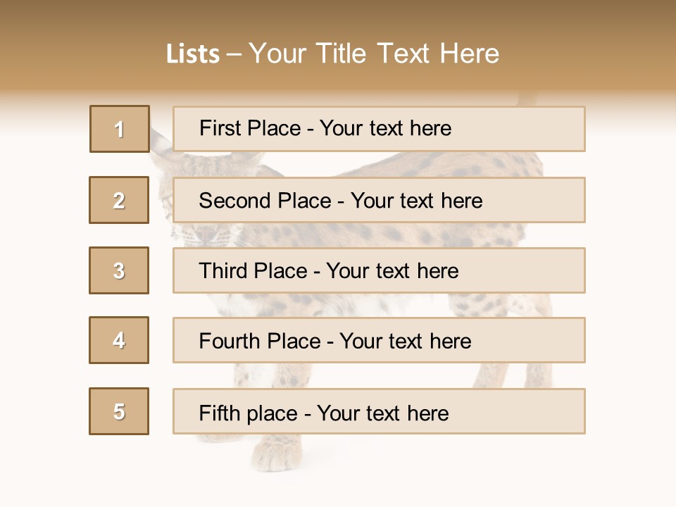 Cat Bobcat Male PowerPoint Template