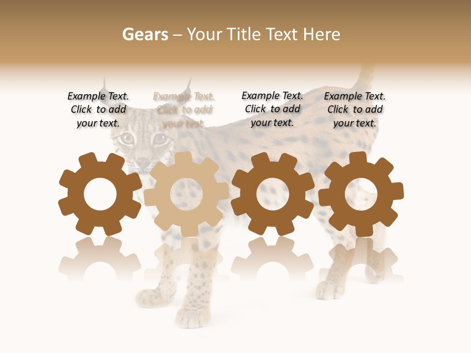 Cat Bobcat Male PowerPoint Template