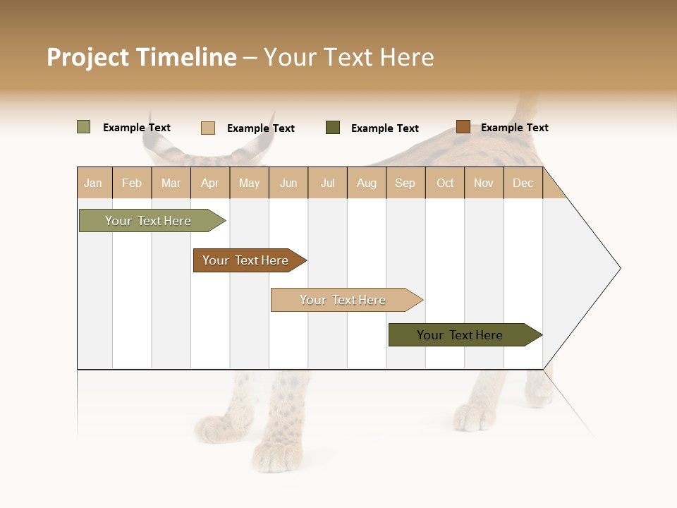 Cat Bobcat Male PowerPoint Template