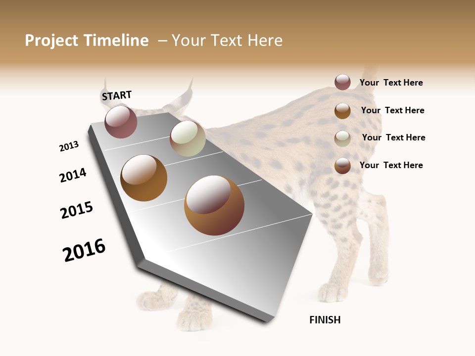 Cat Bobcat Male PowerPoint Template