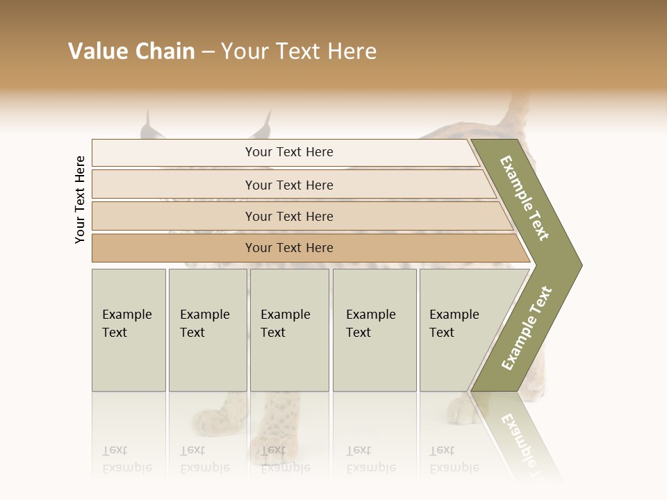Cat Bobcat Male PowerPoint Template