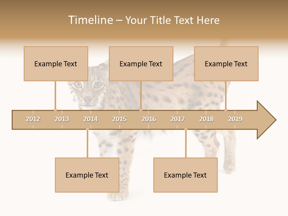 Cat Bobcat Male PowerPoint Template