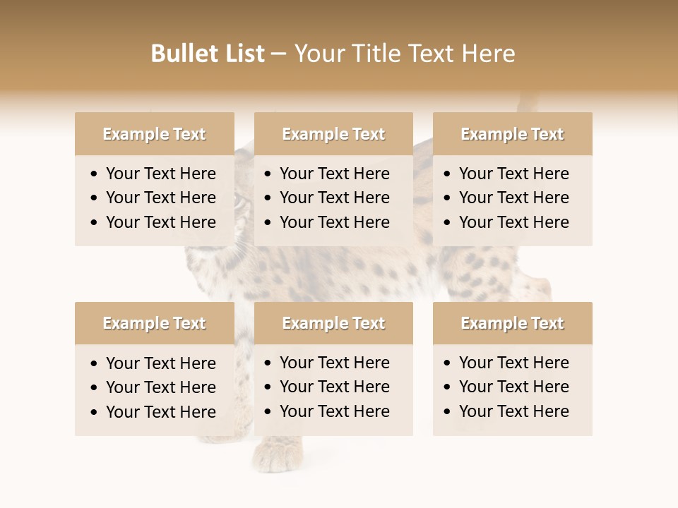 Cat Bobcat Male PowerPoint Template