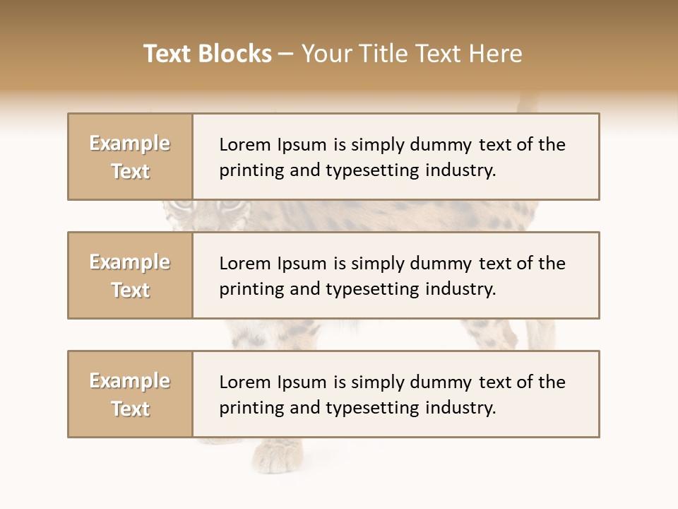 Cat Bobcat Male PowerPoint Template