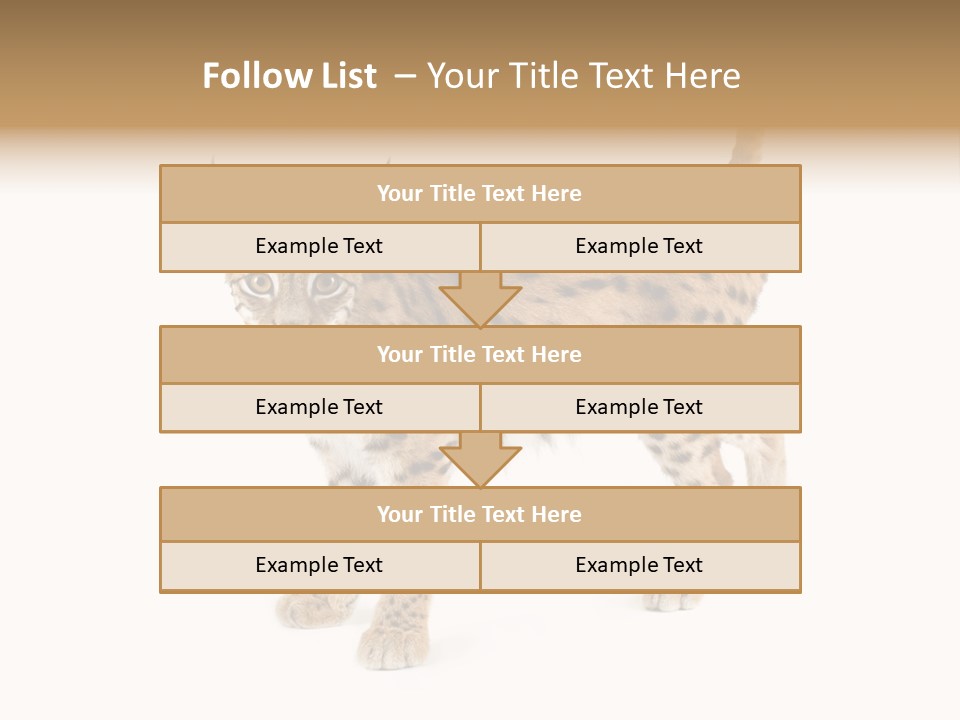 Cat Bobcat Male PowerPoint Template