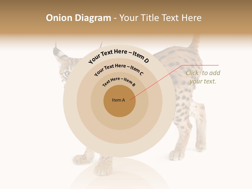 Cat Bobcat Male PowerPoint Template