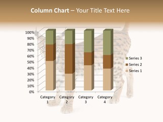 Cat Bobcat Male PowerPoint Template