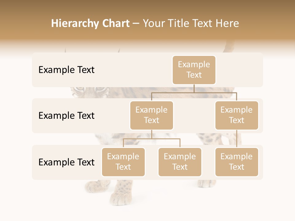 Cat Bobcat Male PowerPoint Template