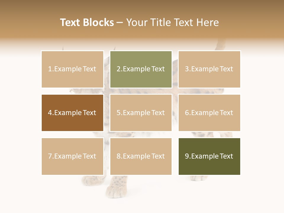 Cat Bobcat Male PowerPoint Template