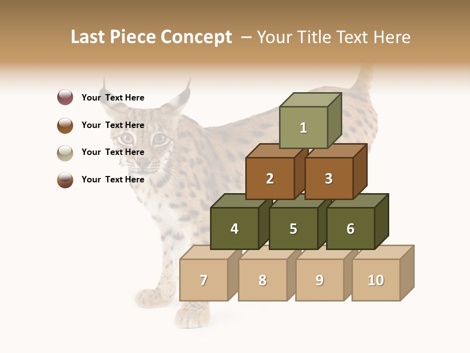 Cat Bobcat Male PowerPoint Template