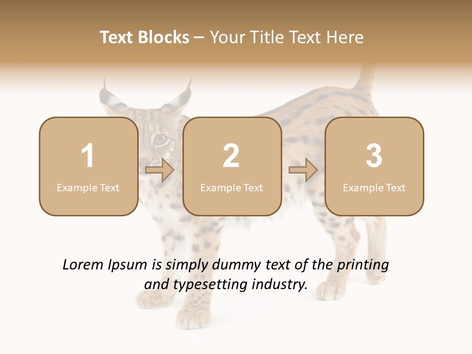 Cat Bobcat Male PowerPoint Template