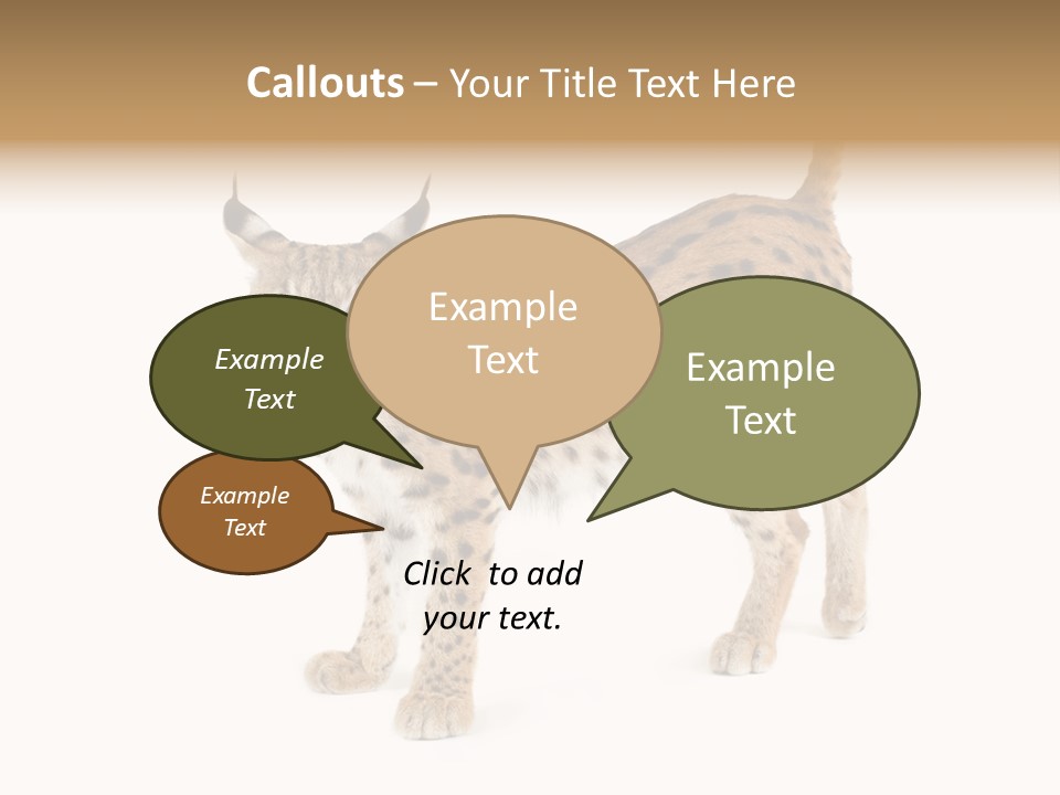 Cat Bobcat Male PowerPoint Template